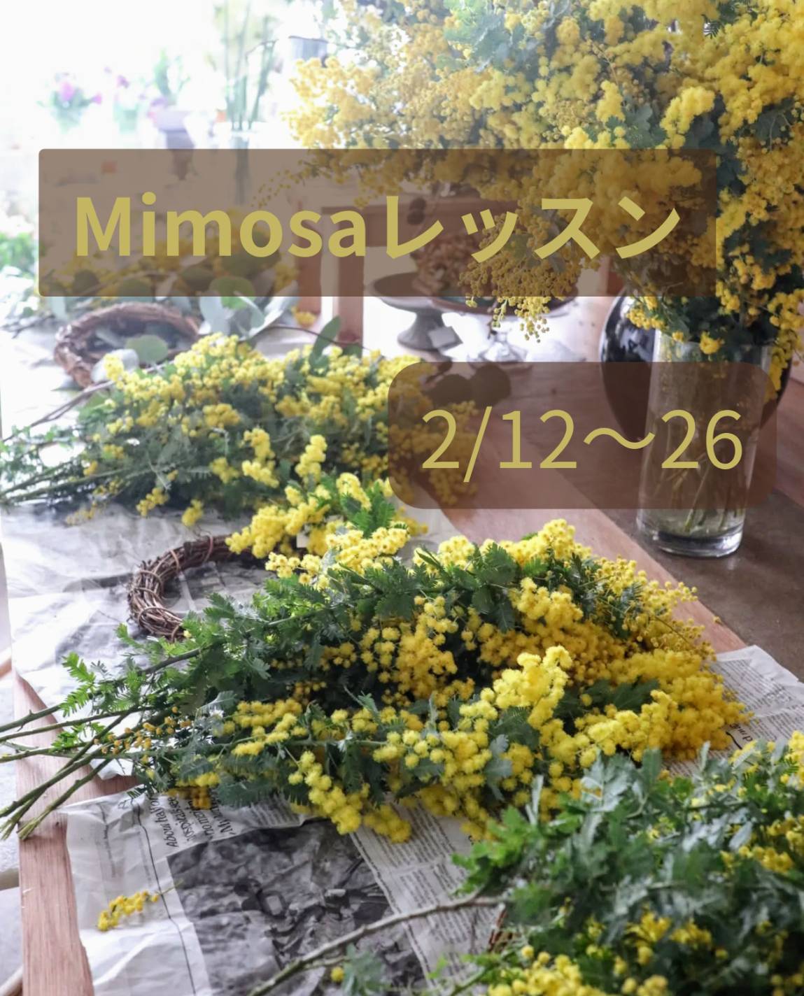 Mimosaレッスン